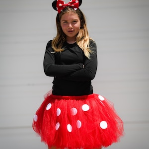 Minnie mouse fancy dress plus size hot sale