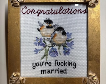Congratulations you’re married completed framed Subversive wedding gift naughty vulgar cross stitch crossstitch