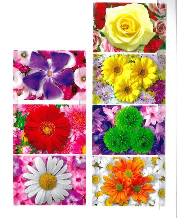 Plastic Craft Supplies & Tools Egg Sleeves Shrink Wraps Easter