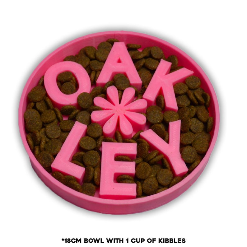 Custom Slow Feeder Dog Bowl Etsy