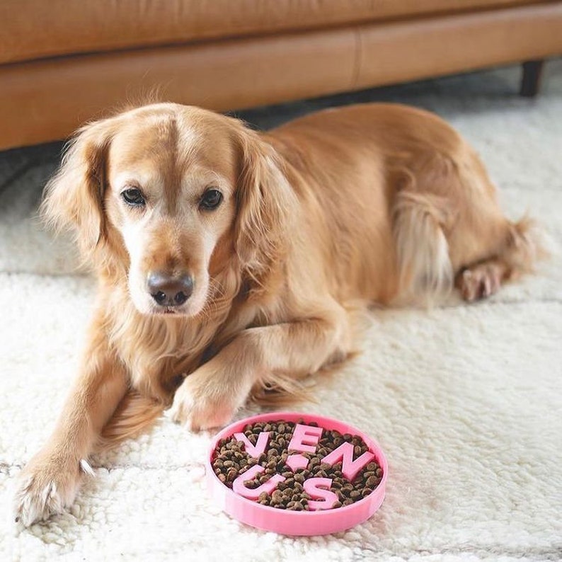 Custom Insert Slow Feeder Dog Bowl image 8