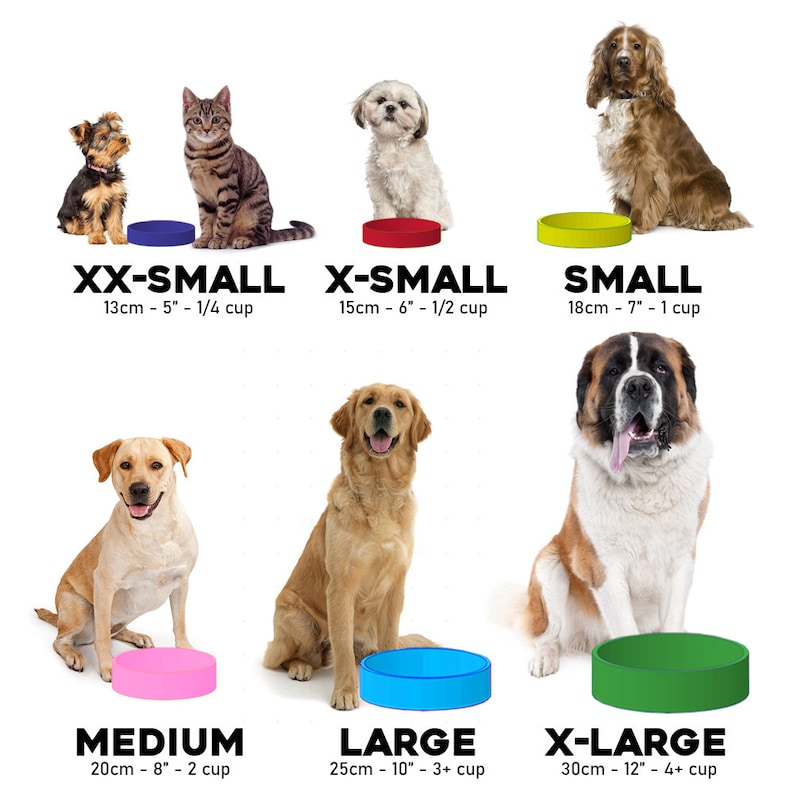 Custom Slow Feeder Dog Bowl Etsy