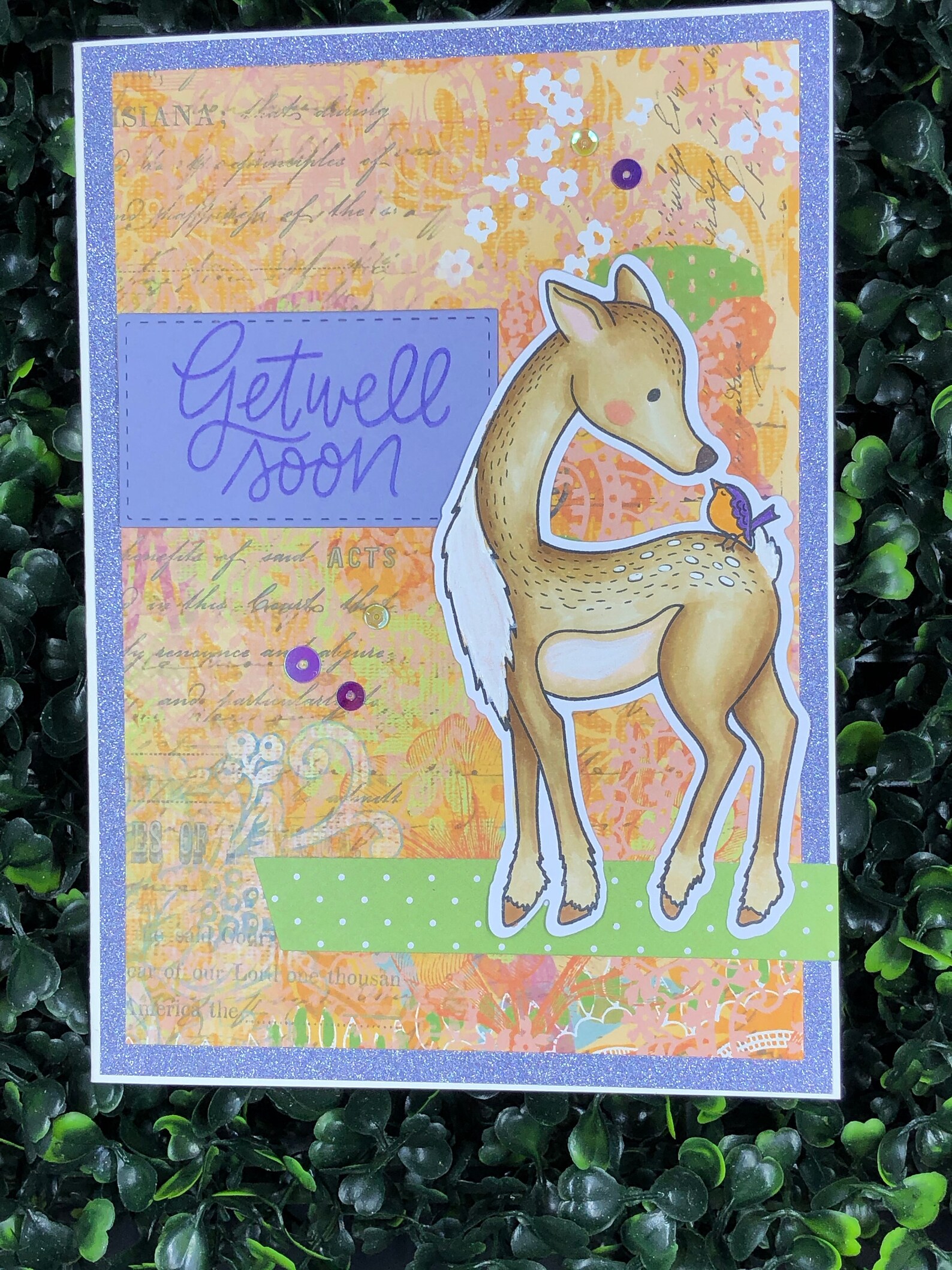 Get Well Soon Card / Deer / Fawn Etsy