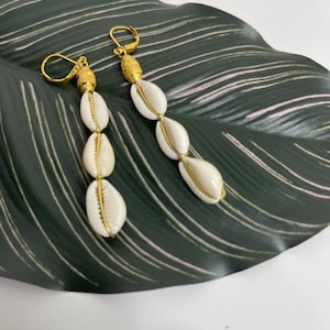 Small 3 Cowrie shells Earrings