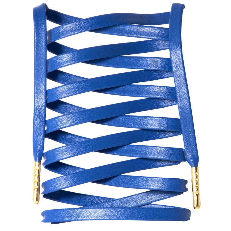 May include: Blue leather shoelaces with gold tips, woven into a criss-cross pattern.