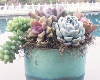 Faux Succulent Arrangement in Wood Box - Etsy