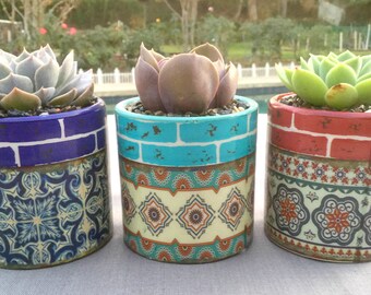 3 Colorful Succulents in Barcelona Tile-Inspired Containers, Succulent Centerpiece, Succulent Arrangement, Teacher Gift, Hostess Gift