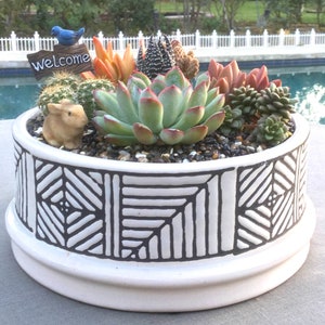 Live Succulent Arrangement in Mediterranean-Style Stamped Ceramic Container, Succulent Planter, Succulent Centerpiece, Succulent Arrangement