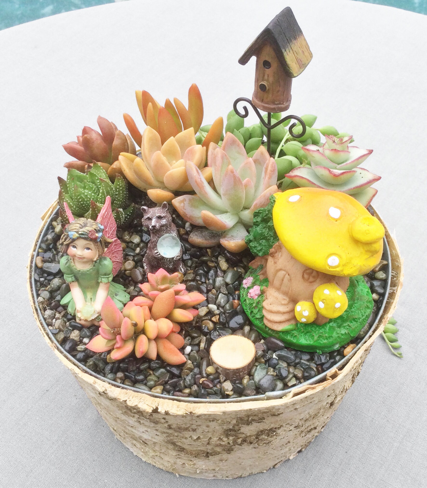 DIY Succulent Fairy Garden Kit With Birch Bark Basket Fairy | Etsy