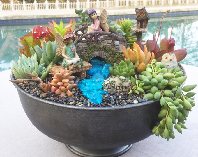 Large DIY Succulent Fairy Garden Gift Kit With Brushed Metal Pedestal