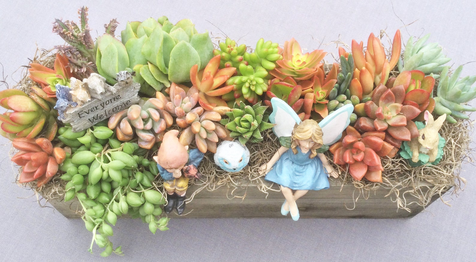 DIY Succulent Fairy Garden Gift Kit With Wood Box Container Etsy