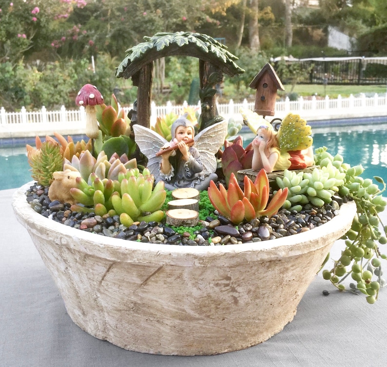 DIY Succulent Fairy Garden Kit With Ceramic Dish Fairy Etsy