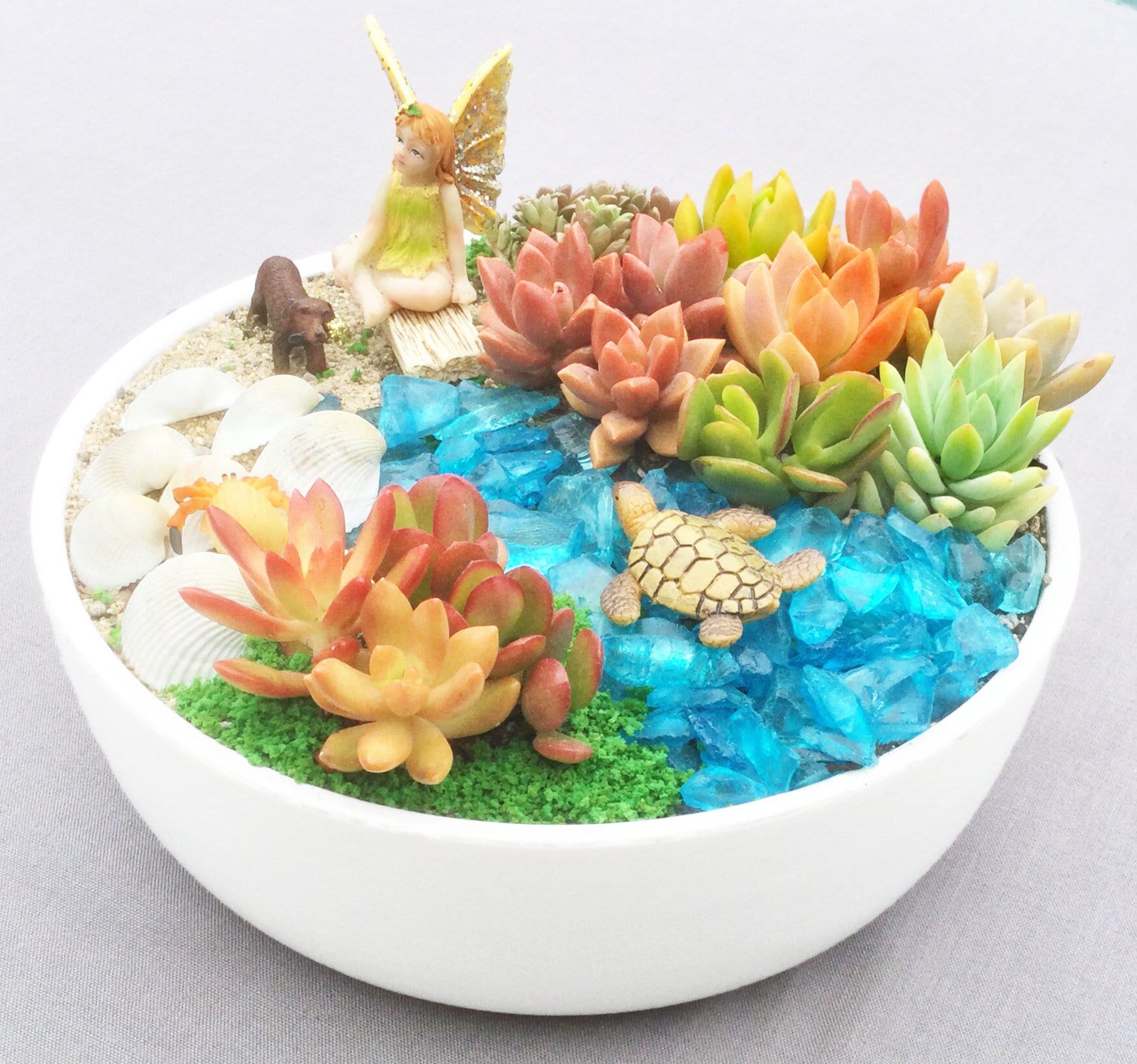 DIY Beach Succulent Fairy Garden Kit: Ceramic Dish - Etsy