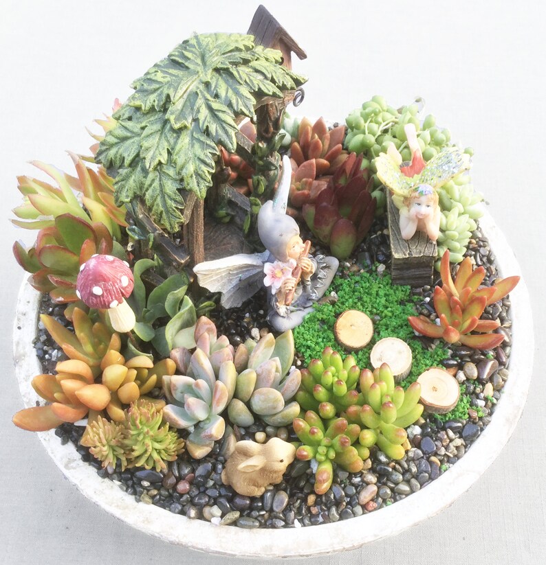 DIY Succulent Fairy Garden Kit With Ceramic Dish Fairy Etsy