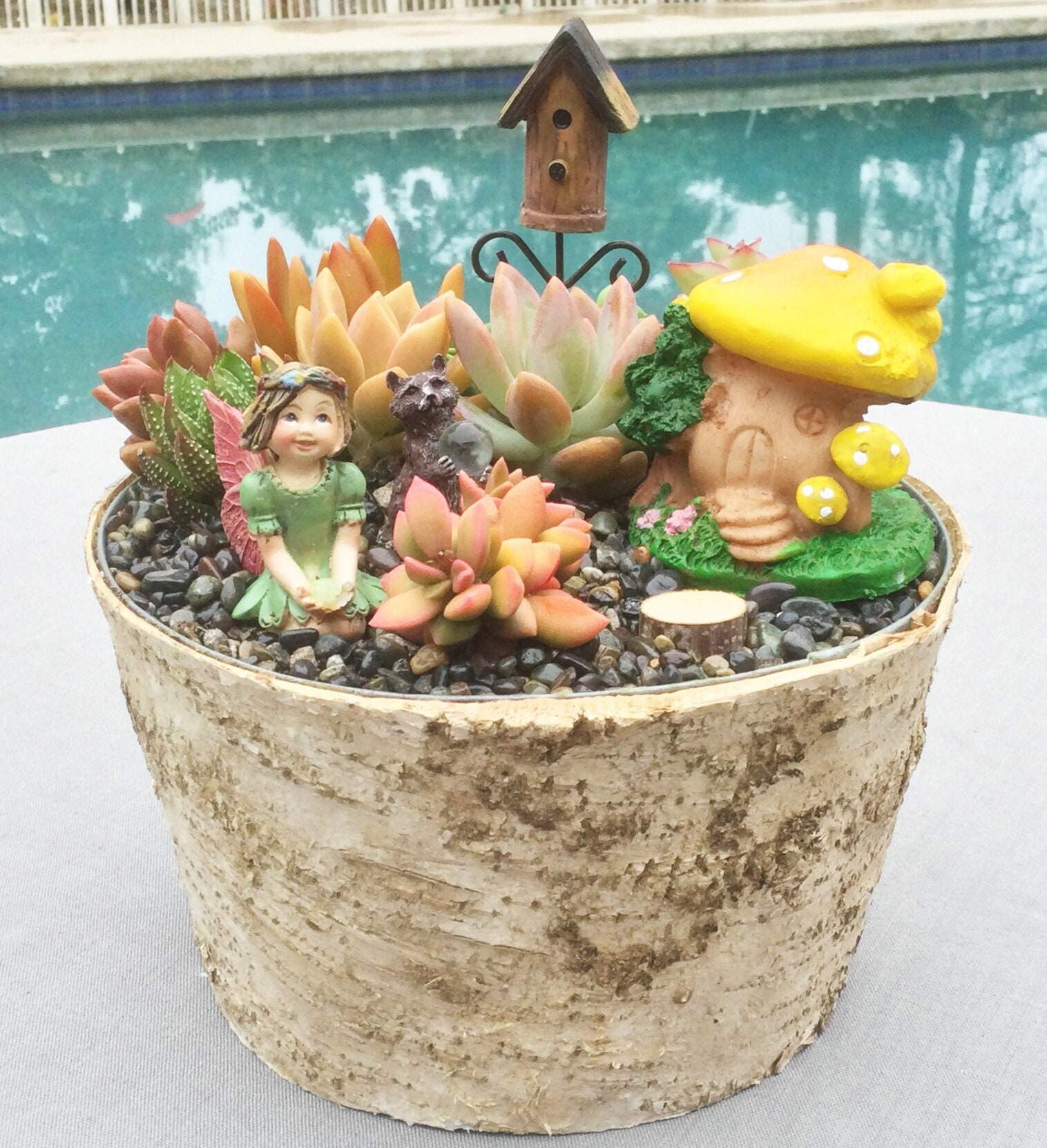 DIY Succulent Fairy Garden Kit With Birch Bark Basket, Fairy Garden,  Colorful Succulent Centerpiece, Succulent Arrangement, Beautiful Gift - Etsy