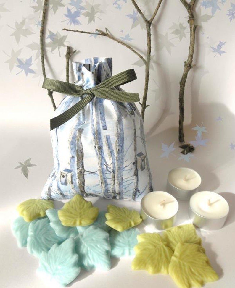 Soy Wax Melts Winter Birdhouse