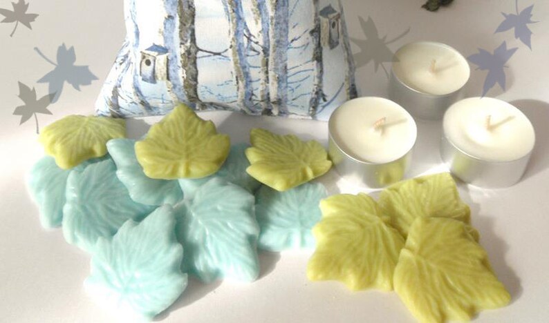 Soy Wax Melts Winter Birdhouse