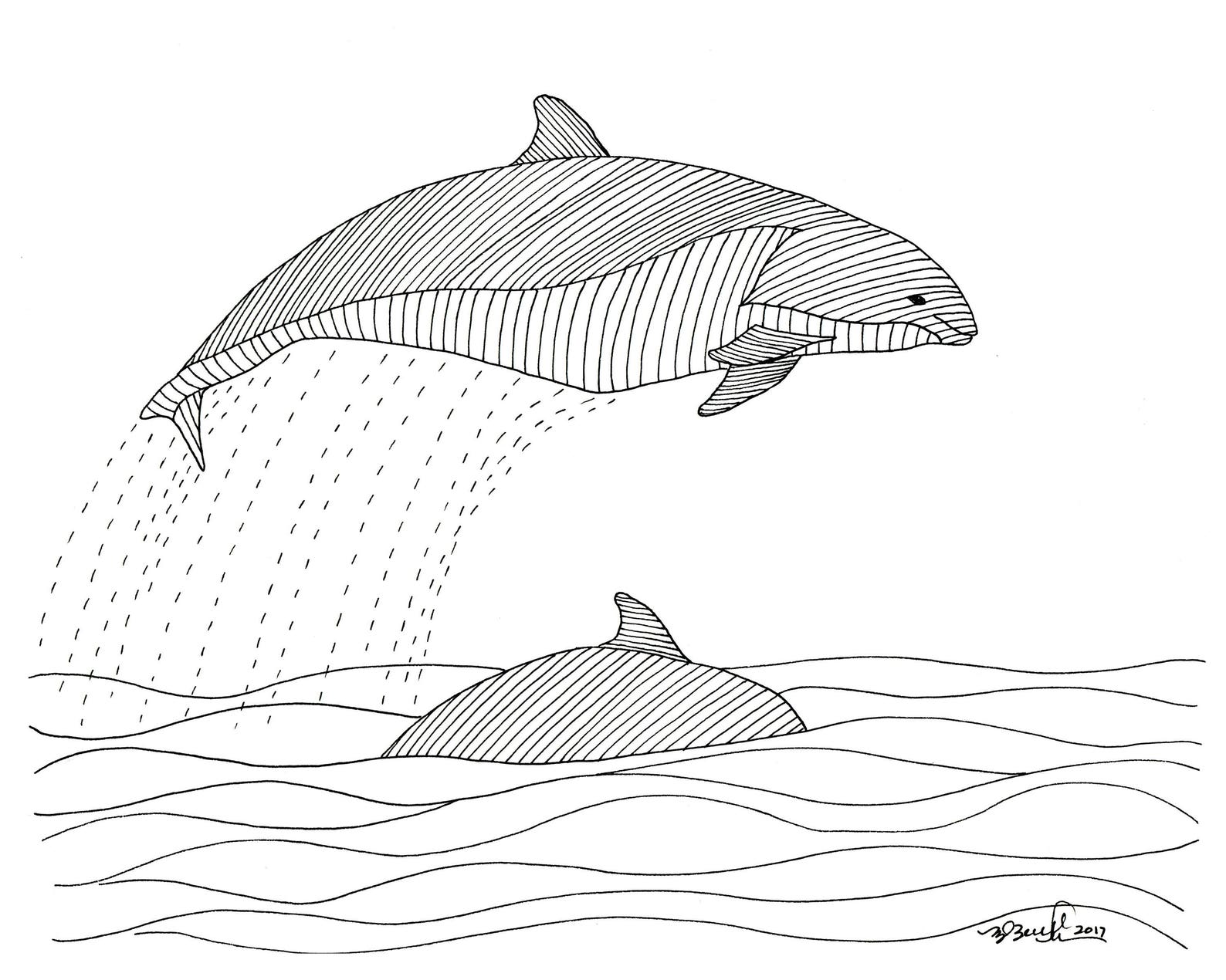 Harbor Porpoises Animal Art Print 8x10 | Etsy