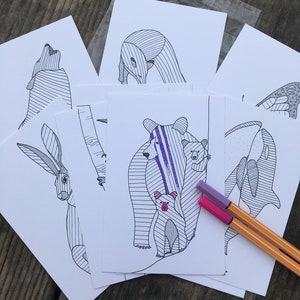 May include: A collection of white cards featuring black line art animal illustrations, including a wolf, bear, and rabbit. Two markers in pink and orange rest on the cards. The cards are arranged on a wooden surface.