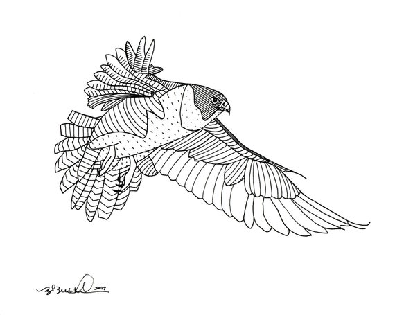 Peregrine Falcon Animal Art Print 8x10