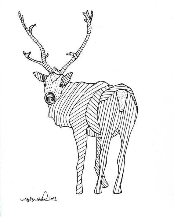 Caribou Drawing - Hand drawn illustration of deer caribou. - Uranium
