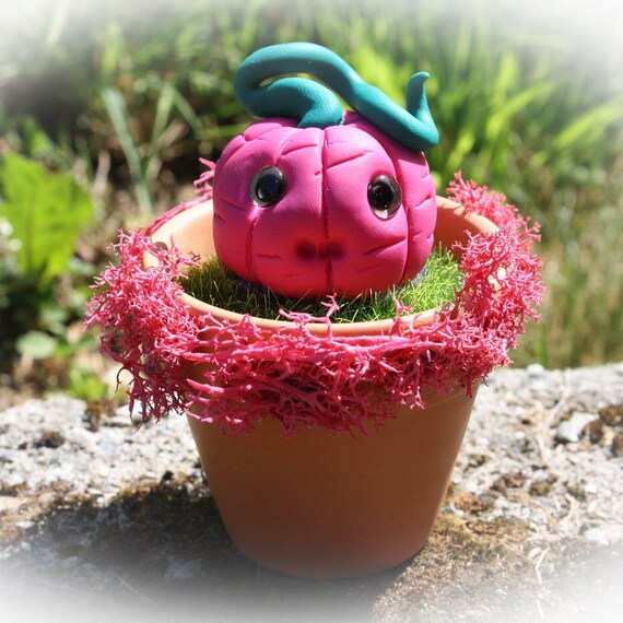 Citrouille d'halloween en pot