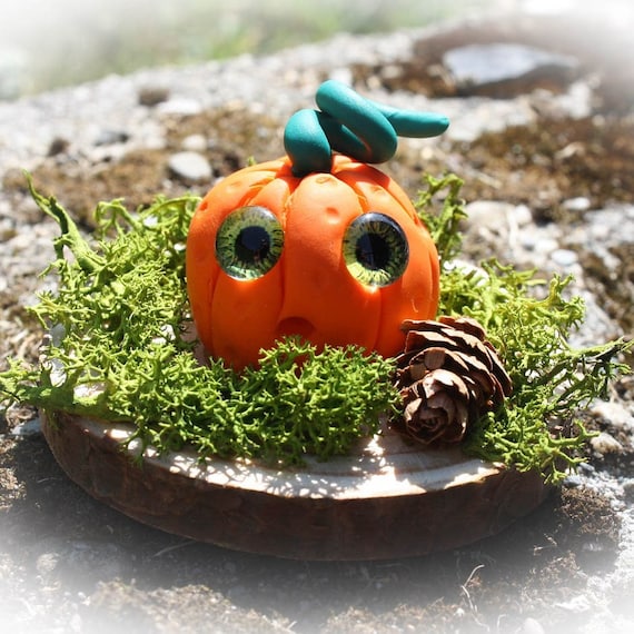 Citrouille sur rondin