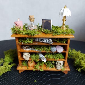 Cabinet of curiosities miniature witch furniture - cabinet of curiosities, oddities, apothecary vial, gothic decoration