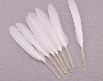 Feathers,White Duck Feathers, 50pcs White Craft Feathers, Loose Feathers,Wholesale Feathers