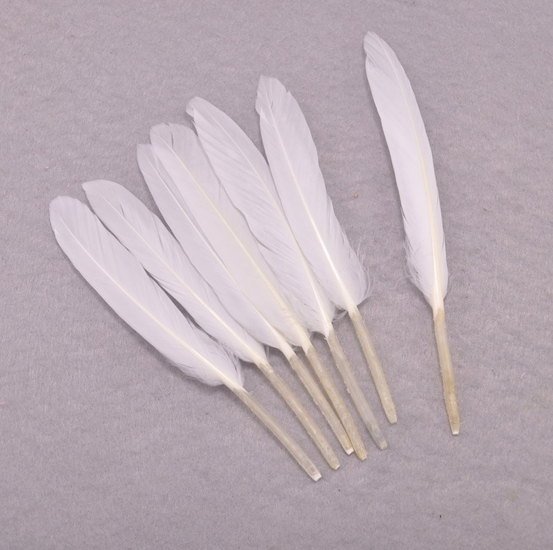 FeathersWhite Duck Feathers 50pcs White Craft Feathers Etsy