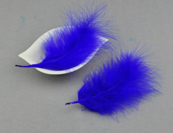 Bulk Feathers, Wholesale Feather Supplier