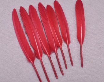 Feathers,Red Duck Feathers, 50pcs Red Craft Feathers, Loose Feathers,Wholesale Feathers