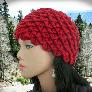 May include: A red crocheted beanie hat with a unique scale-like pattern. The hat is worn by a person with long dark hair. The background is a blurry image of a snowy forest.