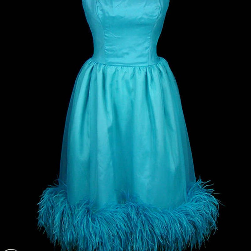 Ostrich Feather Dress