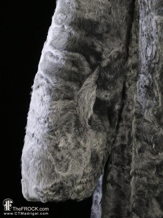 Silver broadtail lamb fur coat, long fox stroller… - image 4