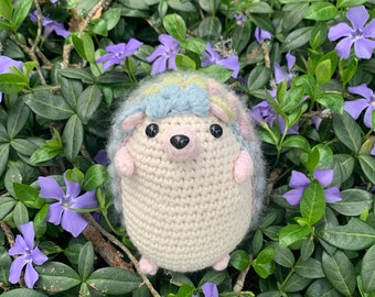 Anemone the hedgehog