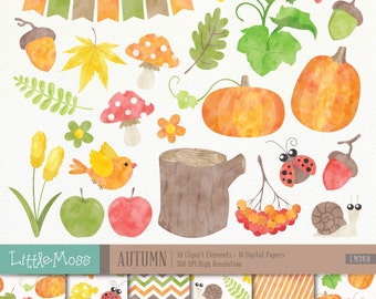 Autumn Digital Clipart and Papers, Watercolor Autumn Clipart, Autumn Papers, Pumpkin Clipart