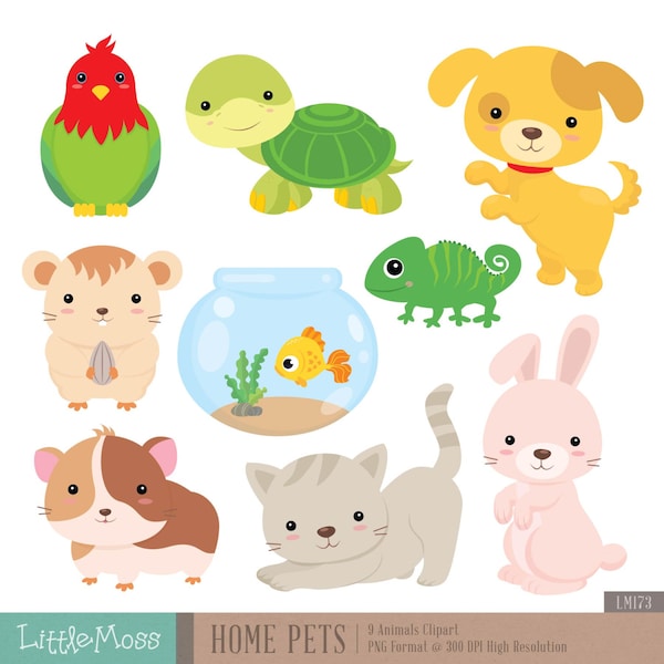 Home Pets Digital Clipart, Dog Clipart, Cat Clipart, Guinea Pig, Hamster