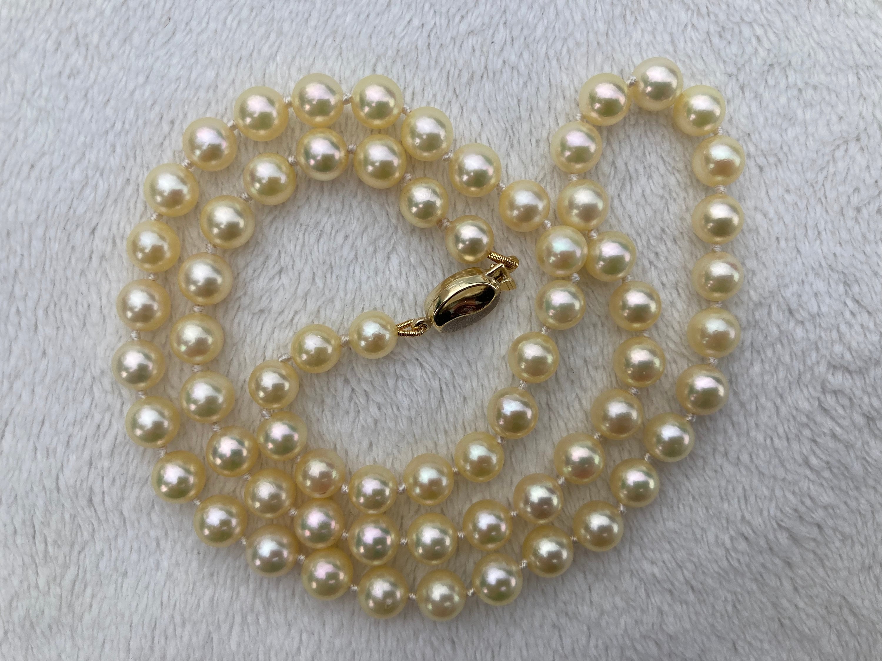 Akoya Pearl Necklace, Creamy Yellow Natural Color 5.5-6mm Round Genuine  Saltwater Pearls, 18.25 Inches, Hand Knotted, 14k Solid Gold Clasp - Etsy