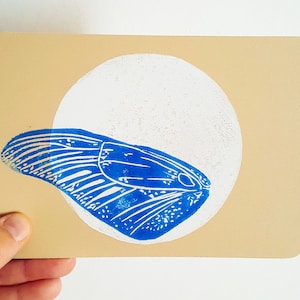 Linogravure carte postale aile de papillon bleue sur lune blanche