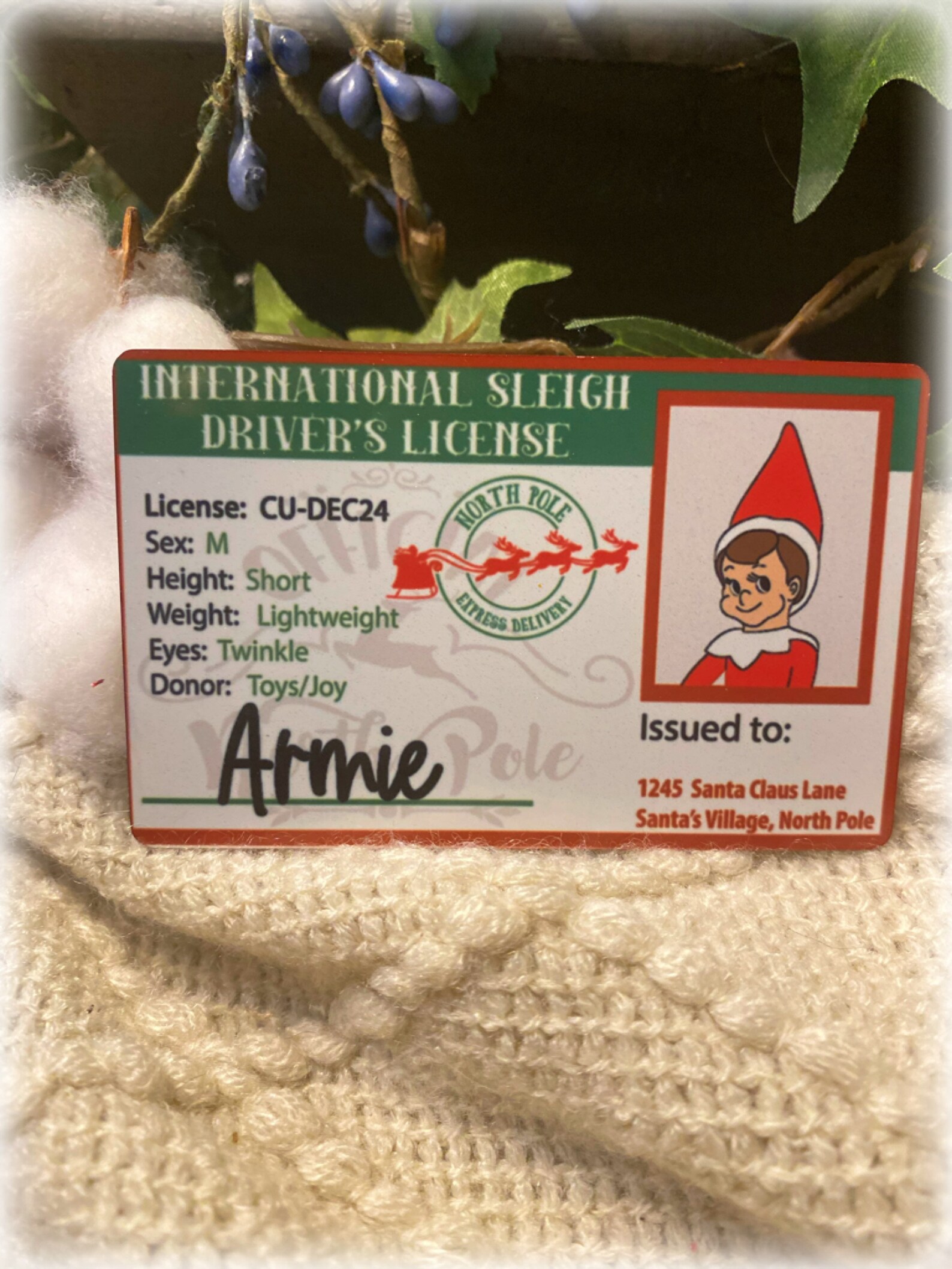 Santa Easter Bunny Tooth Fairy Elf Drivers License you Etsy