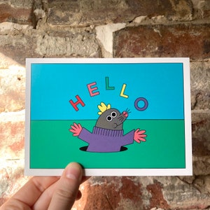 HOLA TARJETA MOLE
