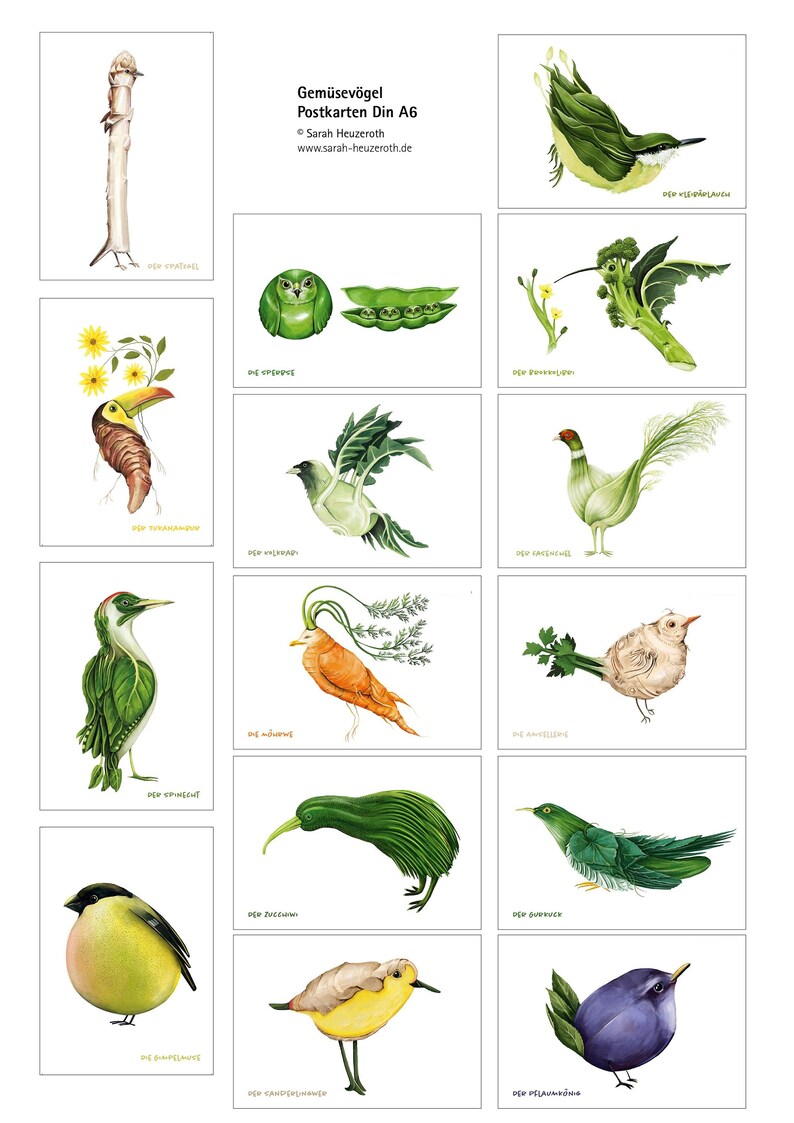 Gemüsevögel-Postkartenset Bild 10