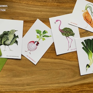 Gemüsevögel-Postkartenset Bild 6