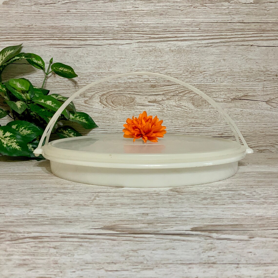 Tupperware Party Susan Divided Relish/veggie Tray 405 With Lid Etsy