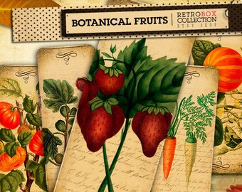 Fruits vintage Bookmarks - 12 botanical fruits printable collage sheet instant download - Retro Box Collection