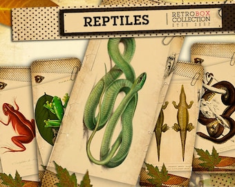 Archival Reptile Bookmarks - 12 archival vintage digital printable collage sheet instant download - Retro Box Collection