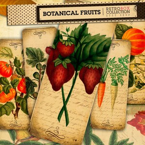 Früchte Vintage Lesezeichen - 12 botanische Früchte druckbare Collage Blatt sofortiger download - Retro Box Collection