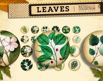 Leaves botanical circles 3 sizes leaf in 1 sheet Vintage nature - 26 buttons printable collage sheet instant download - Retro Box Collection