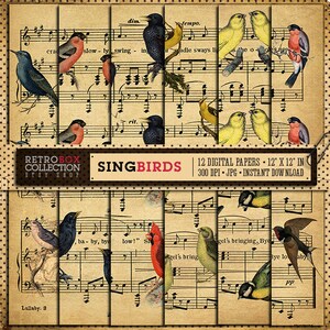 Sing Birds Digital Paper vintage music sheet 12 Digital Papers pack printable collage sheet instant download - Retro Birds Patterns